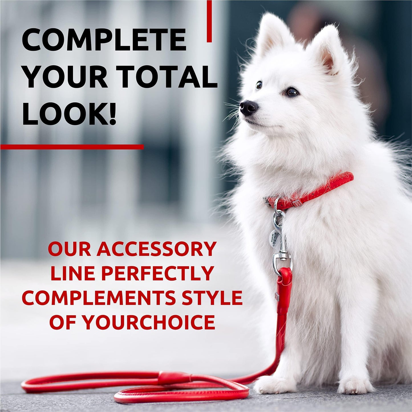 Rolled Leather Dog Leash 4Ft * 0.3 in for Small Medium and Large Dogs   Heavy For Pet With Love