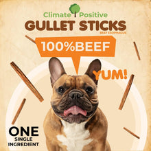 Load image into Gallery viewer, Makondo Pets Gullet Sticks 100% Natural Beef Esophagus Dog Chews 6” 24 Ct
