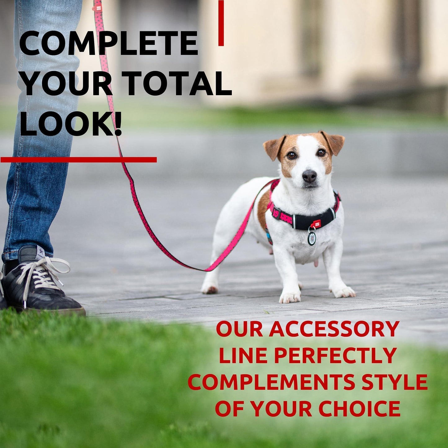 WAUDOG Nylon Dog Leash for Small Dogs and Medium Dogs 4 Ft   Strong Dog Leash For Pet With Love
