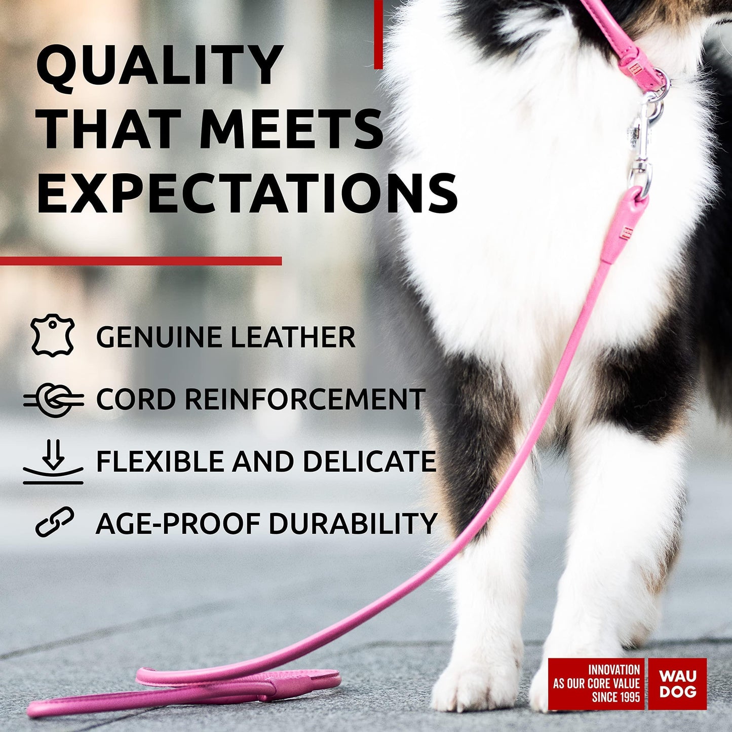 Rolled Leather Dog Leash 4Ft * 0.5 in for Small Medium and Large Dogs   Heavy For Pet With Love