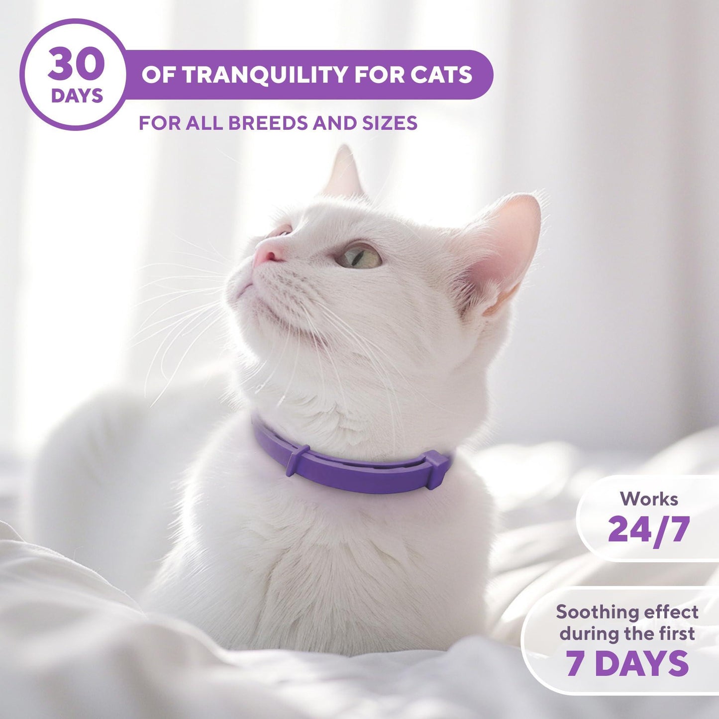 Beloved Pets RELAXIV Cat Calming Stress Relief Collar For Pet With Love