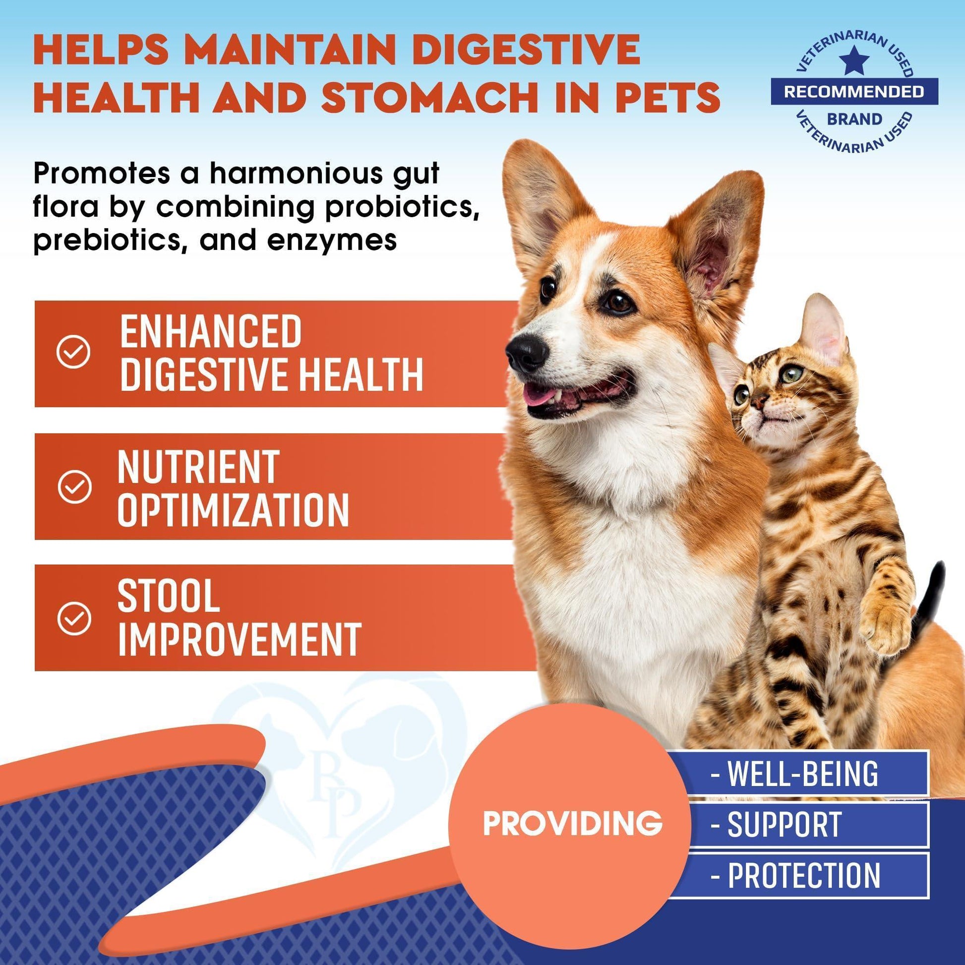 Beloved Pets Probiotics & Prebiotics with Enzymes Food Supplements for Dogs & Cats 2Oz For Pet With Love