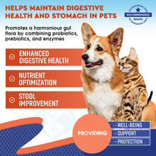 Load image into Gallery viewer, Beloved Pets Probiotics &amp; Prebiotics with Enzymes Food Supplements for Dogs &amp; Cats 2Oz
