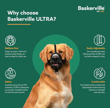 Load image into Gallery viewer, Company of Animals Baskerville Ultra Muzzle for Dogs
