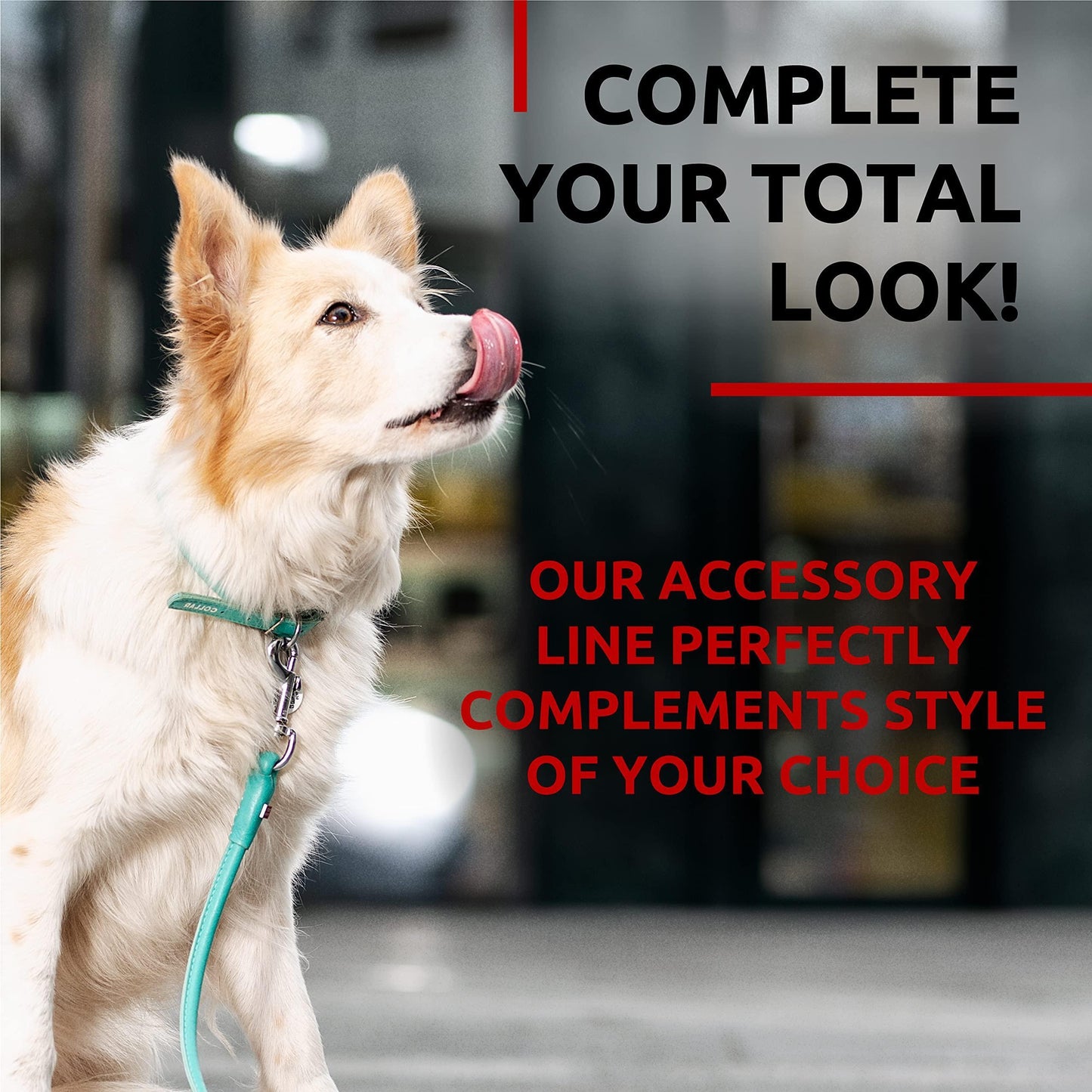 Rolled Leather Dog Leash 4Ft * 0.4 in for Small Medium and Large Dogs   Heavy For Pet With Love