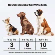 Load image into Gallery viewer, Charlie and Buddy Anxiety Relief Calming Chews for Dogs 90 Chews
