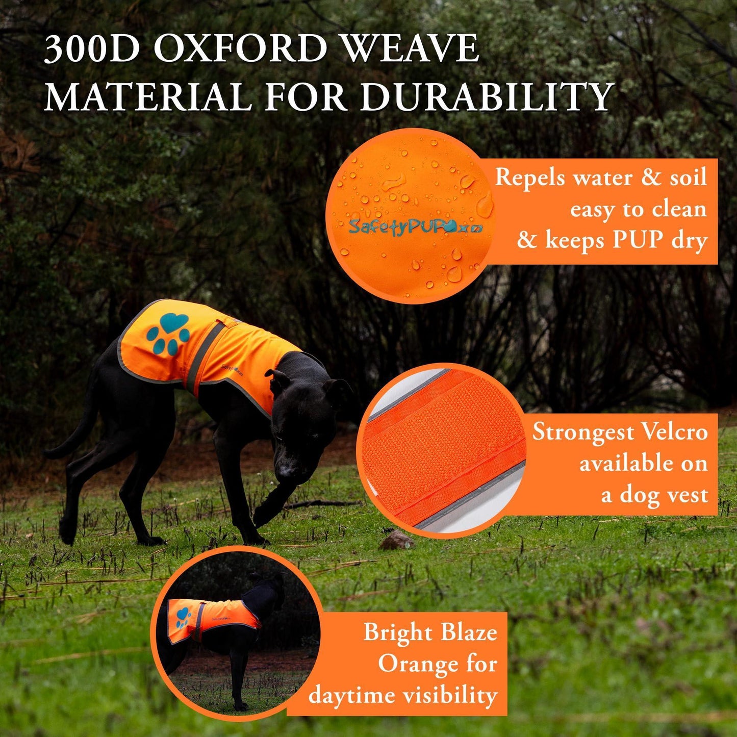 SafetyPUP XD Hi-Visibility Fluorescent Blaze Orange Dog Vest (Large) For Pet With Love