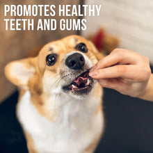 Load image into Gallery viewer, Beloved Pets All Natural Sweet Potato &amp; Chicken Jerky Wraps Dog Treats 24 Oz

