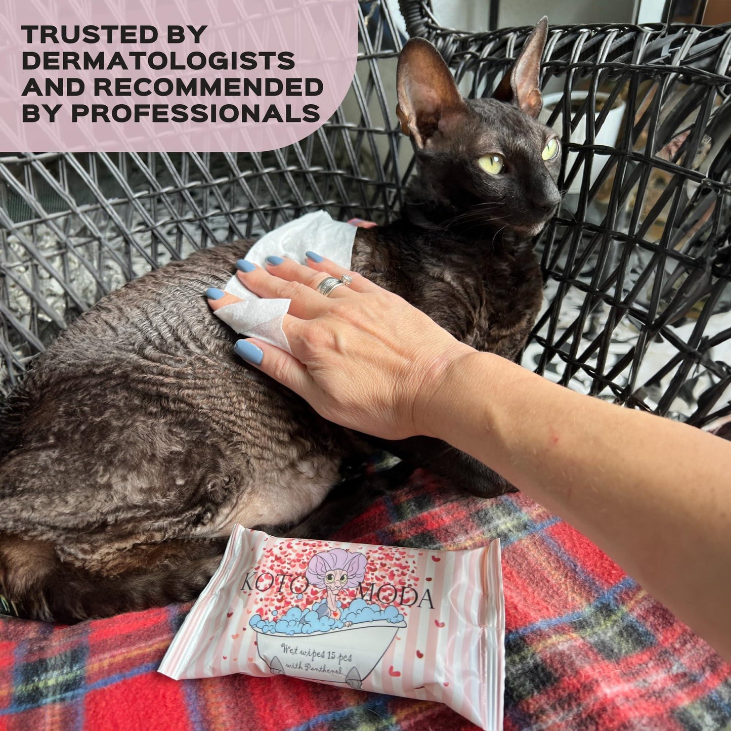 Kotomoda Wet Wipes with Panthenol for Sphynx cat for Everyday use (24Pack) For Pet With Love