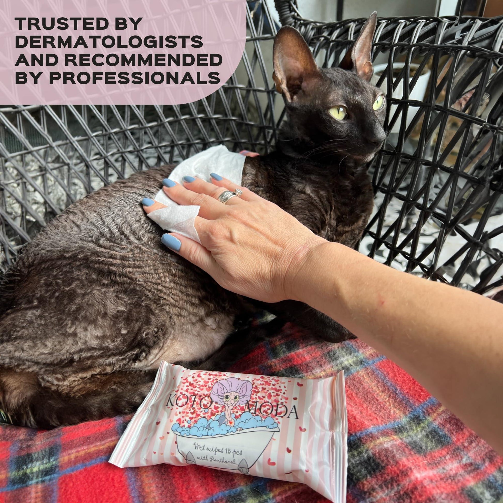 Kotomoda Wet Wipes with Panthenol for Sphynx cat for Everyday use (24Pack) For Pet With Love