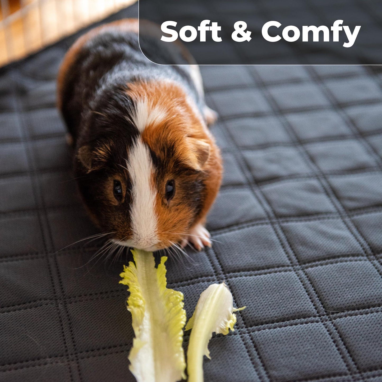 LUFTPETS Washable Small Animal Cage Liners for C&C 2'x4' (57" x28" ) Habitats. 2-Pack. Easy to Clean, Absorbent, Waterproof & Non Slip. For Pet With Love