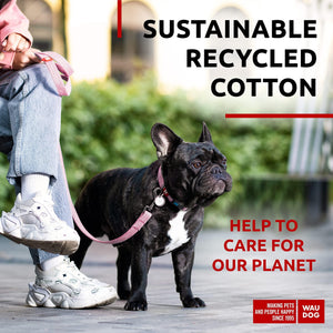 Recycled Cotton Dog Leash 6 Ft   10 Ft Eco Friendly Collar for Small Medium &