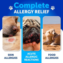 Load image into Gallery viewer, Artullano Canine Immune Health Supplement Itching Skin &amp; Allergy Relief 180 Ct
