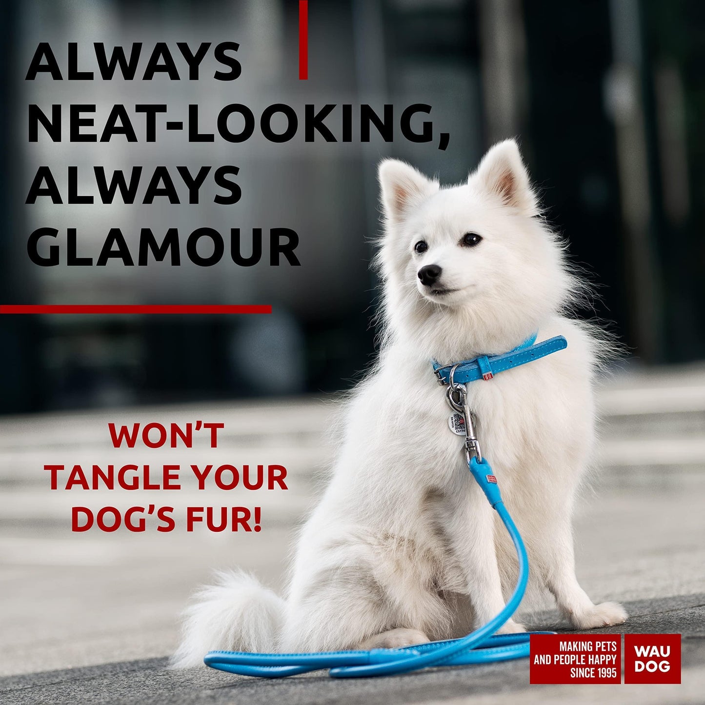 WAUDOG Rolled Leather Dog Leash 4Ft * 0.3 in for Small Medium and Large Dogs For Pet With Love
