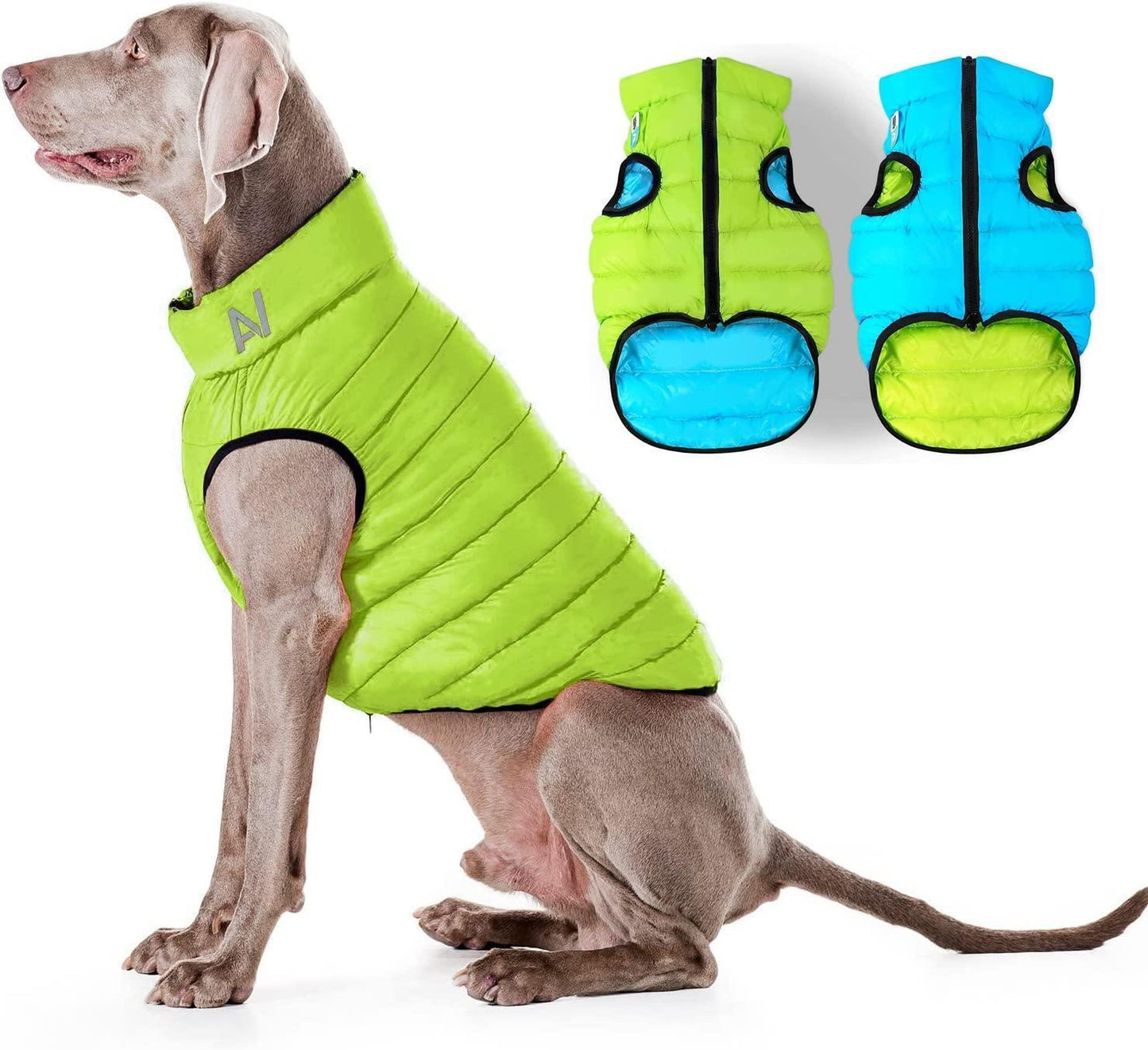 AiryVest Lightweight Reversible Winter Dog Jacket - Water Resistant & Windproof - S - Green/Blue For Pet With Love