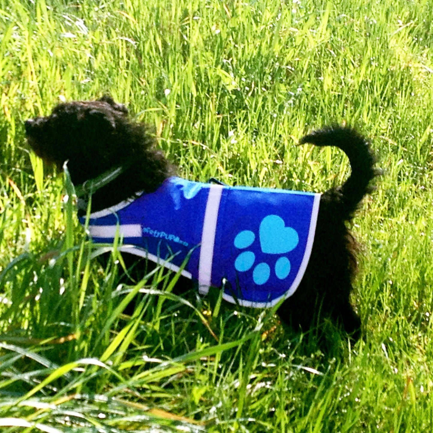 SafetyPUP XD Urban Dog Reflective Vest - SMALL - Blue - Fits Dogs 22lbs - 35lbs For Pet With Love