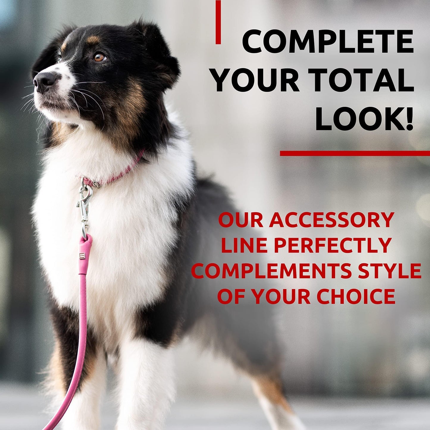 Rolled Leather Dog Leash 4Ft * 0.5 in for Small Medium and Large Dogs   Heavy For Pet With Love