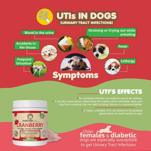 Makondo Pets Cranberry Natural UTI Treatment & Kidney Support Supplement for Dogs (3.53 Oz)