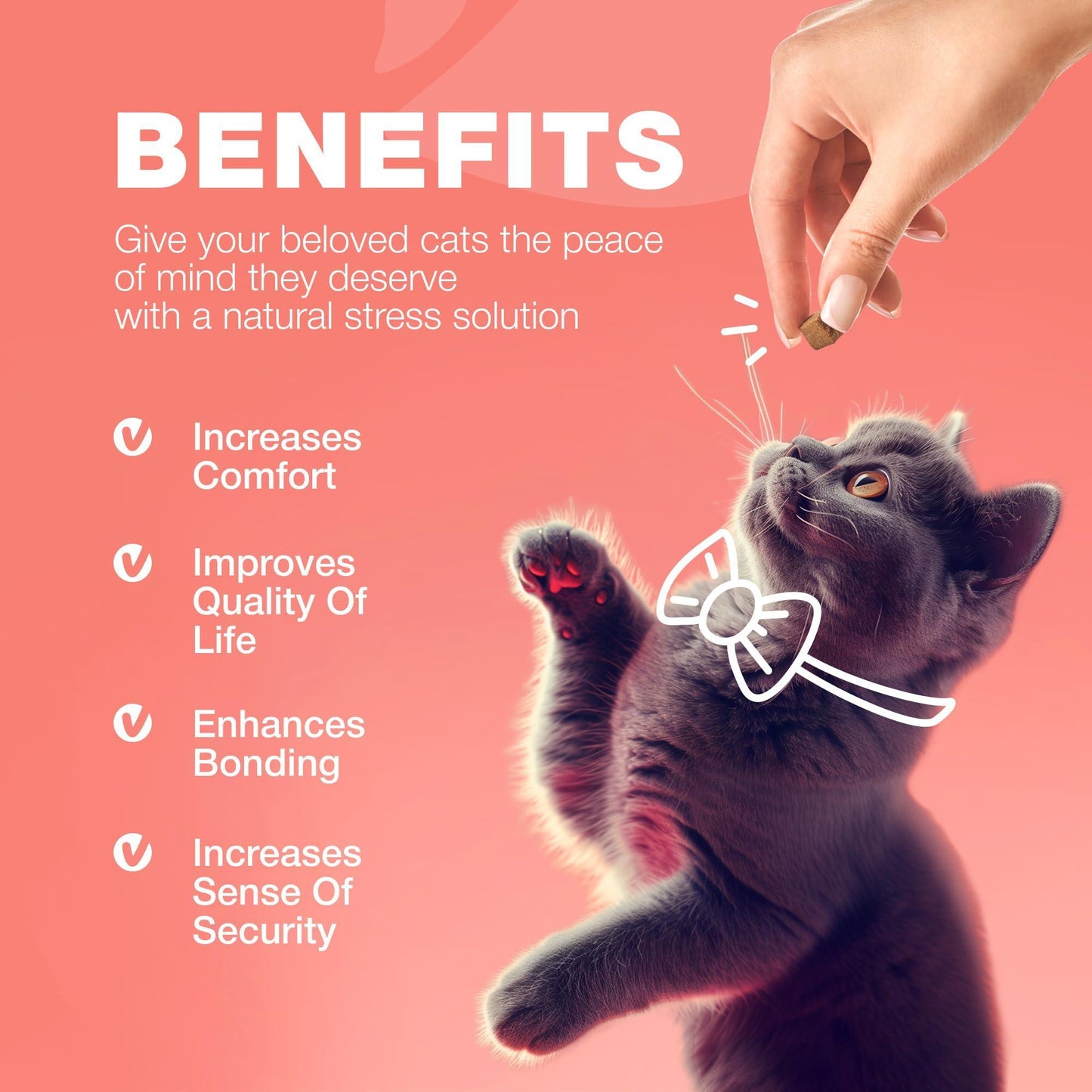 CHEWIA Daily Oral Cat Flea and Tick Treatment Chews for Cats. Natural Chicken Flavor  For All Breeds & Ages. 140 Chews