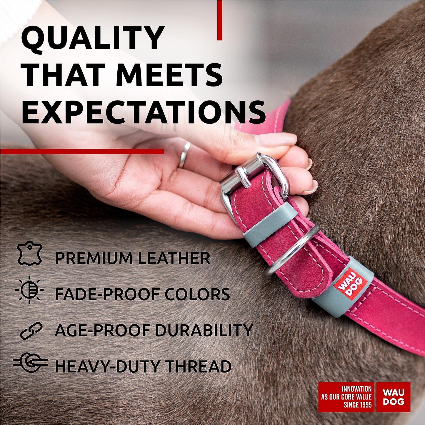 WAUDOG Adjustable Long Lasting Leather Dog Collar with Durable Buckle D Ring & QR Dog Tag. LARGE. Pink For Pet With Love
