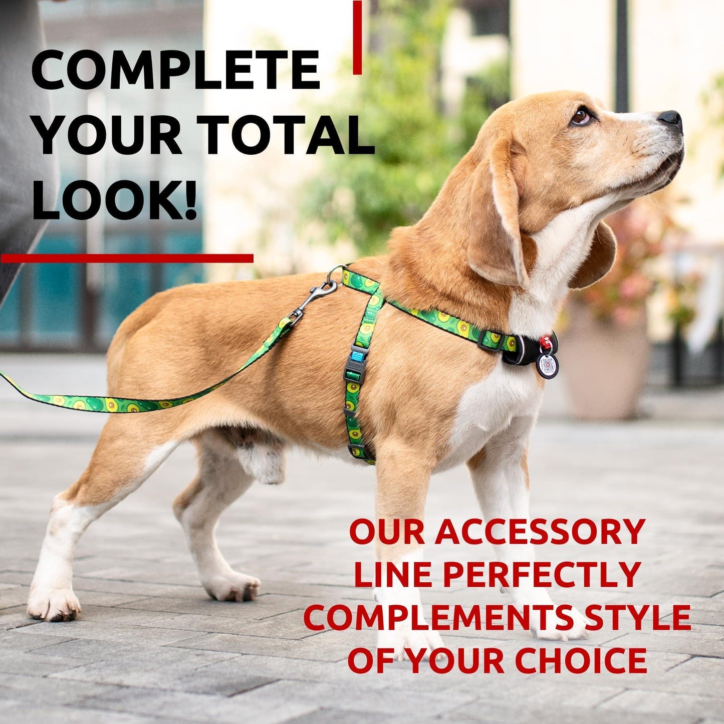WAUDOG Nylon Dog Leash for Small Dogs and Medium Dogs 4 Ft   Strong Dog Leash For Pet With Love