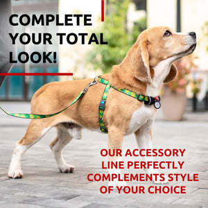 WAUDOG Nylon Dog Leash for Small Dogs and Medium Dogs 4 Ft   Strong Dog Leash