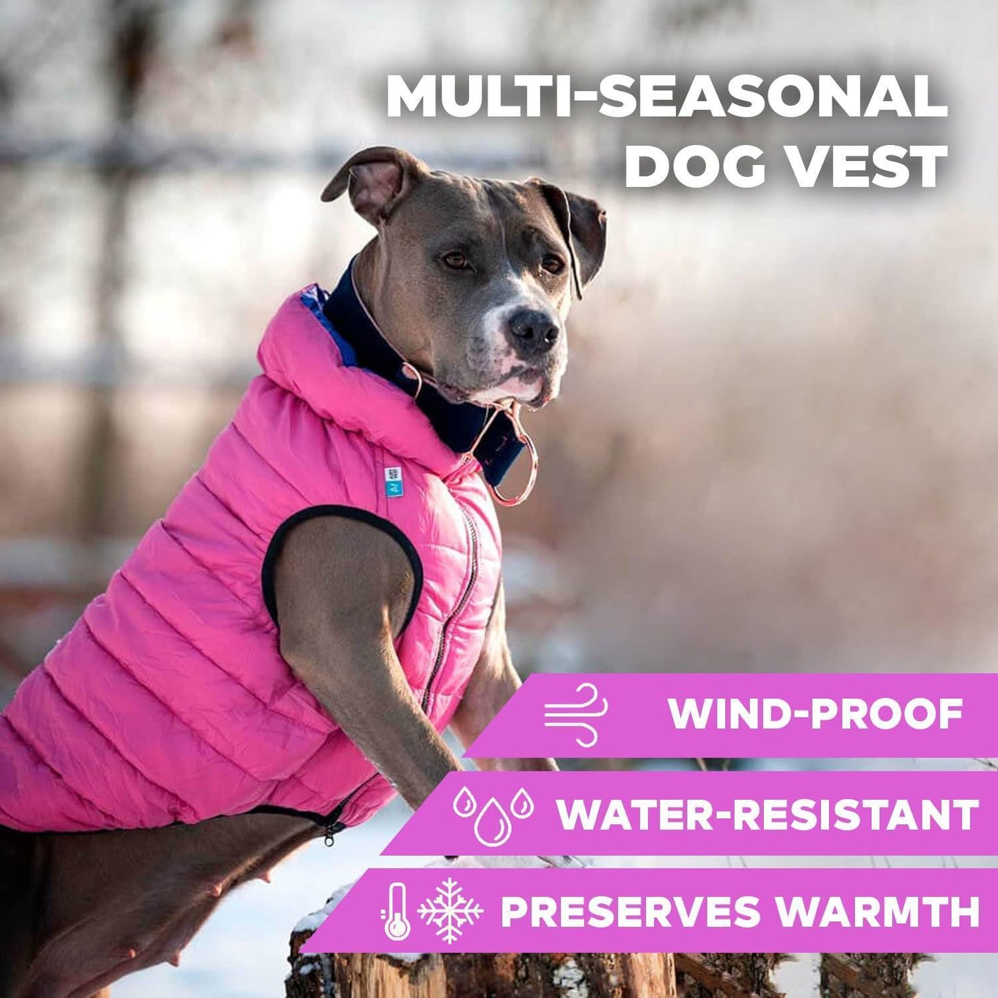 AiryVest Lightweight Reversible Winter Dog Jacket - XSMALL - Pink/Purple For Pet With Love