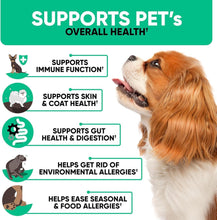 Load image into Gallery viewer, Kinpur Pet Care Natural Dog Allergy Chews  Allergy Relief  180 Anti Itch Immune Treats
