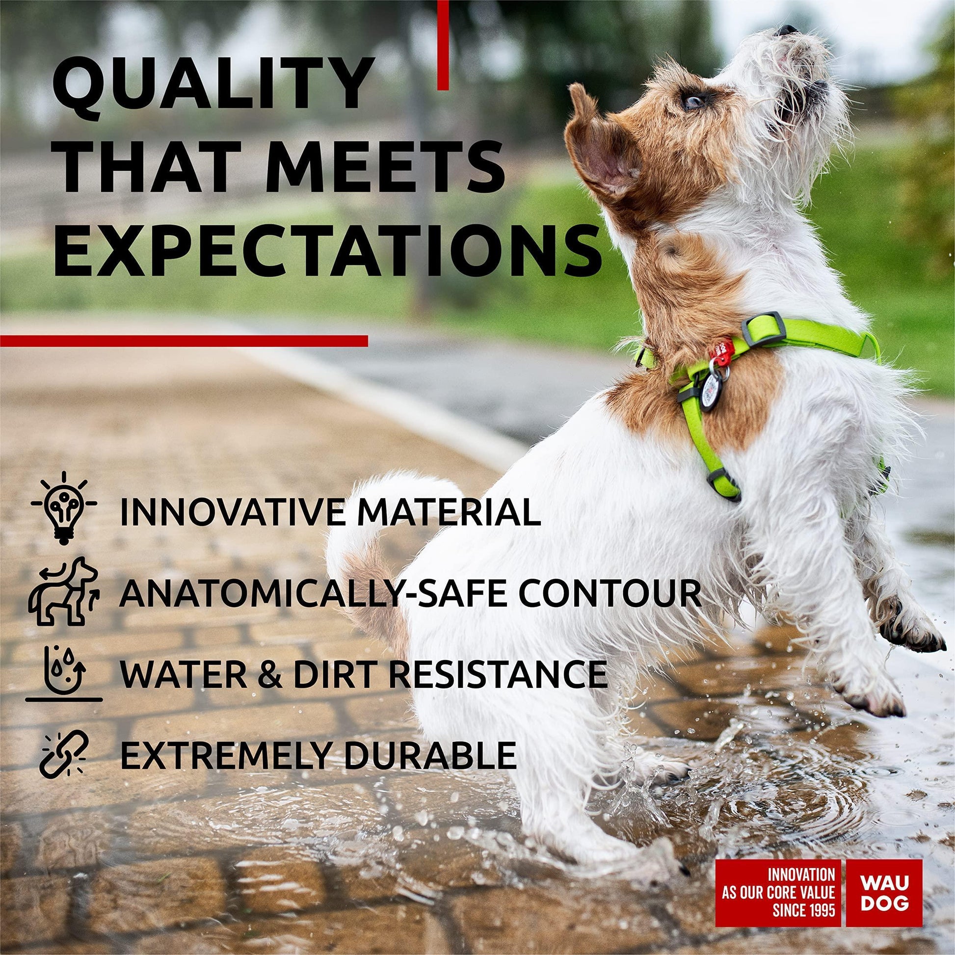 Waterproof Dog Harness   Adjustable Dog Harness for Large Dogs Small and Medium For Pet With Love