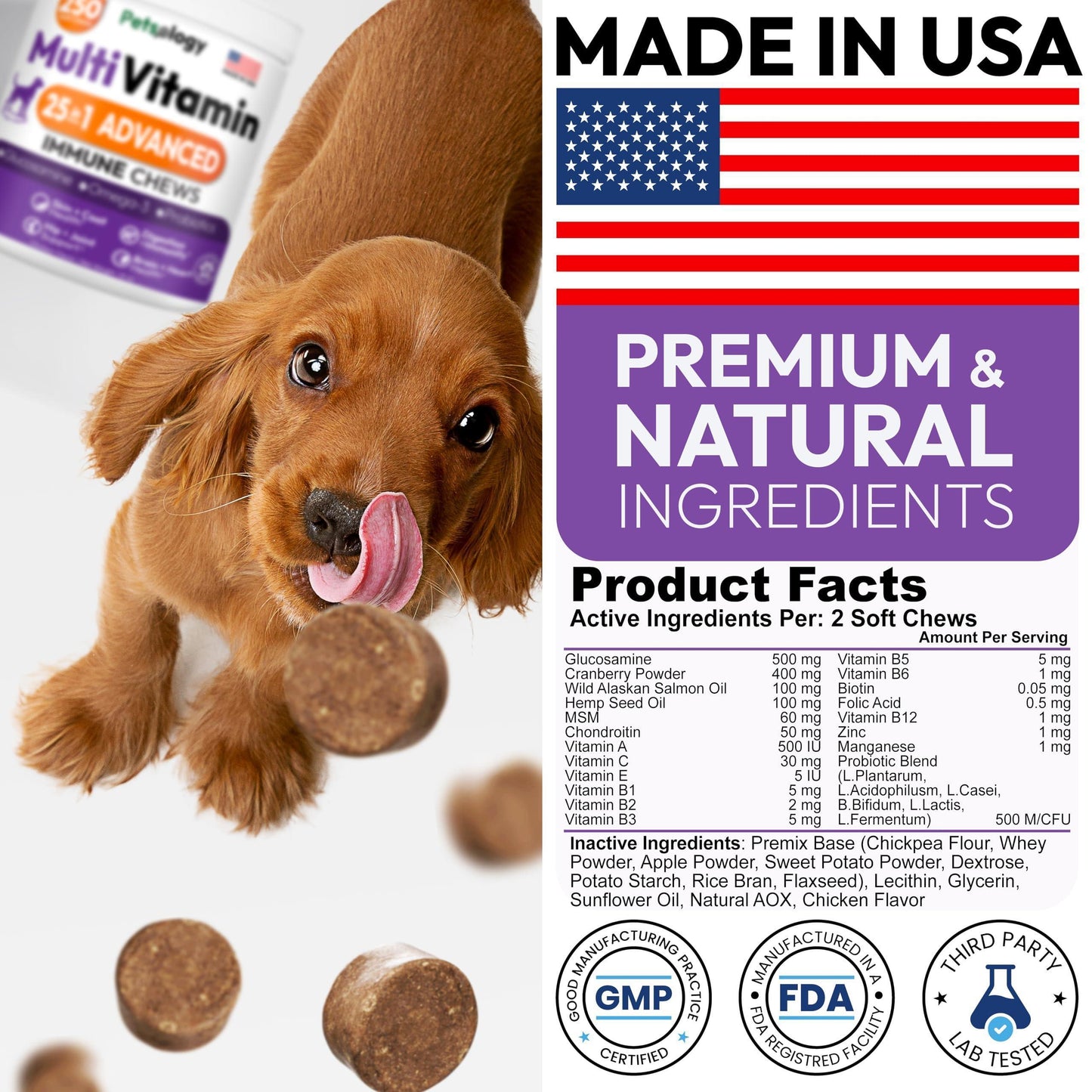 PETSOLOGY Chewable Multivitamin Pet Supplement. Hip & Joint, Pet Immune Support, Skin & Coat, Gut & Heart Health. 250 Chews