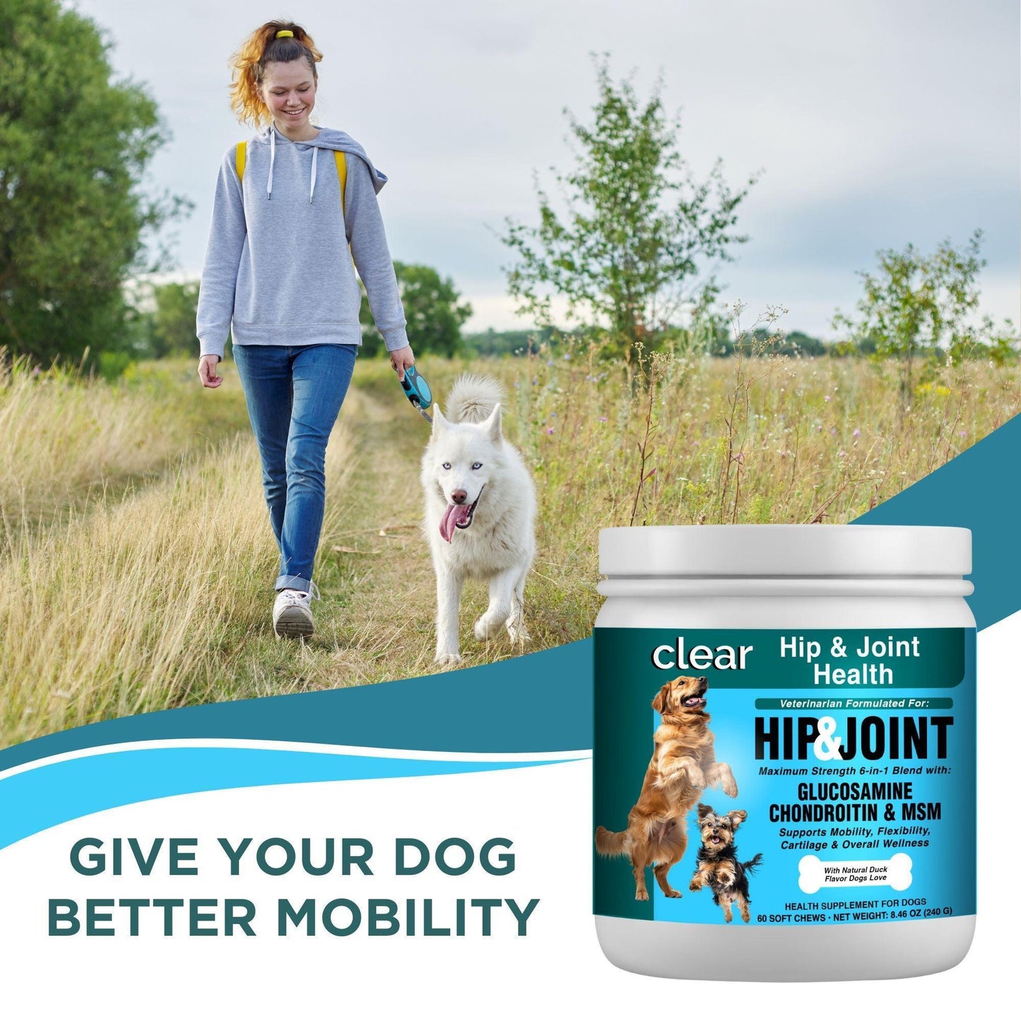 Clear Probiotics Hip & Joint Support Supplement for Dogs * 60 Count For Pet With Love