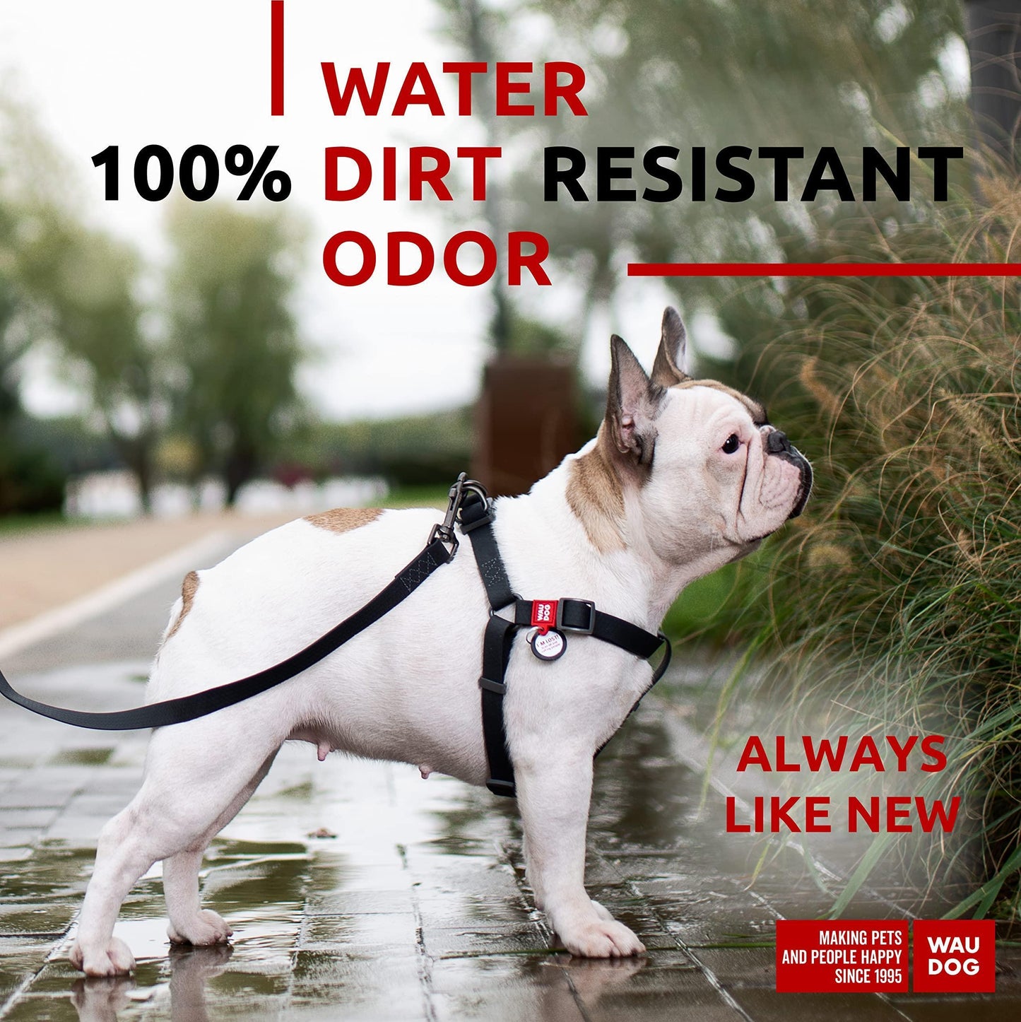 WAUDOG Waterproof Dog Harness   Adjustable Dog Harness for Large Dogs Small and For Pet With Love