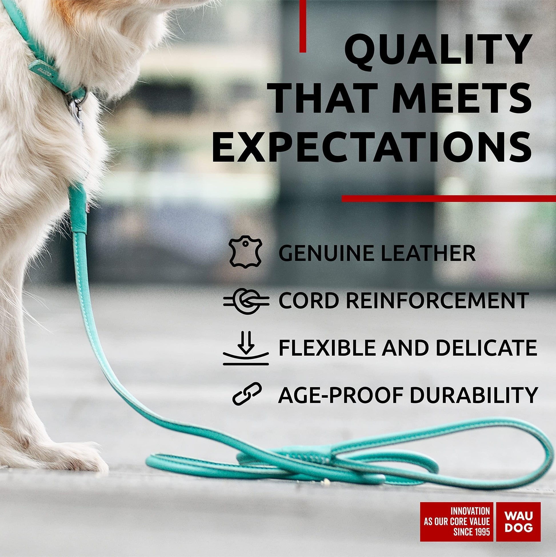 Rolled Leather Dog Leash 4Ft * 0.4 in for Small Medium and Large Dogs   Heavy For Pet With Love