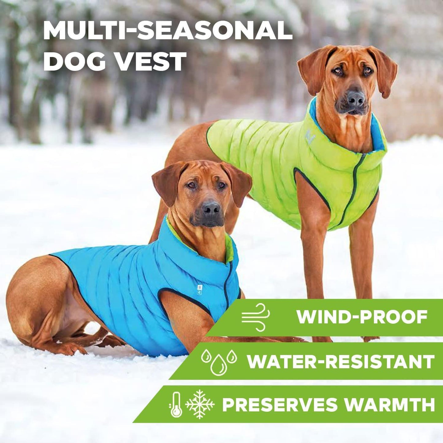 AiryVest Lightweight Reversible Winter Dog Jacket - Water Resistant & Windproof - S - Green/Blue For Pet With Love