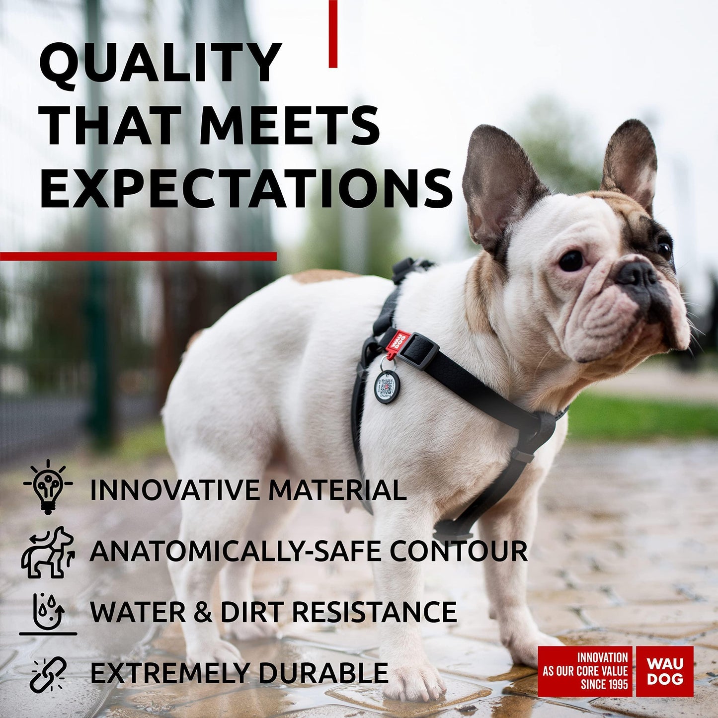 WAUDOG Waterproof Dog Harness   Adjustable Dog Harness for Large Dogs Small and For Pet With Love