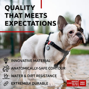 WAUDOG Waterproof Dog Harness   Adjustable Dog Harness for Large Dogs Small and