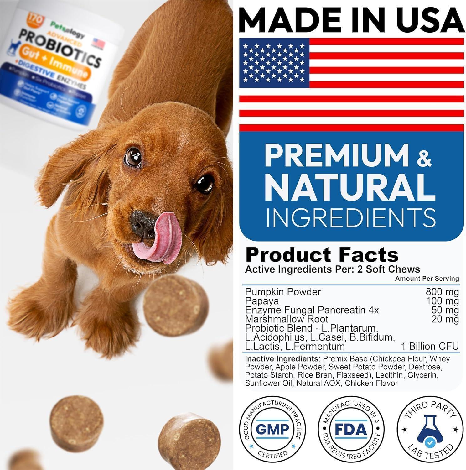 PETSOLOGY Probiotics, Digestive Enzymes & Prebiotics for Dogs. Advanced Supplement helps Itchy Skin and Allergies. Supports Gut Health. Diarrhea, Gas & Constipation Relief (2 Pack) 340 Chews For Pet With Love