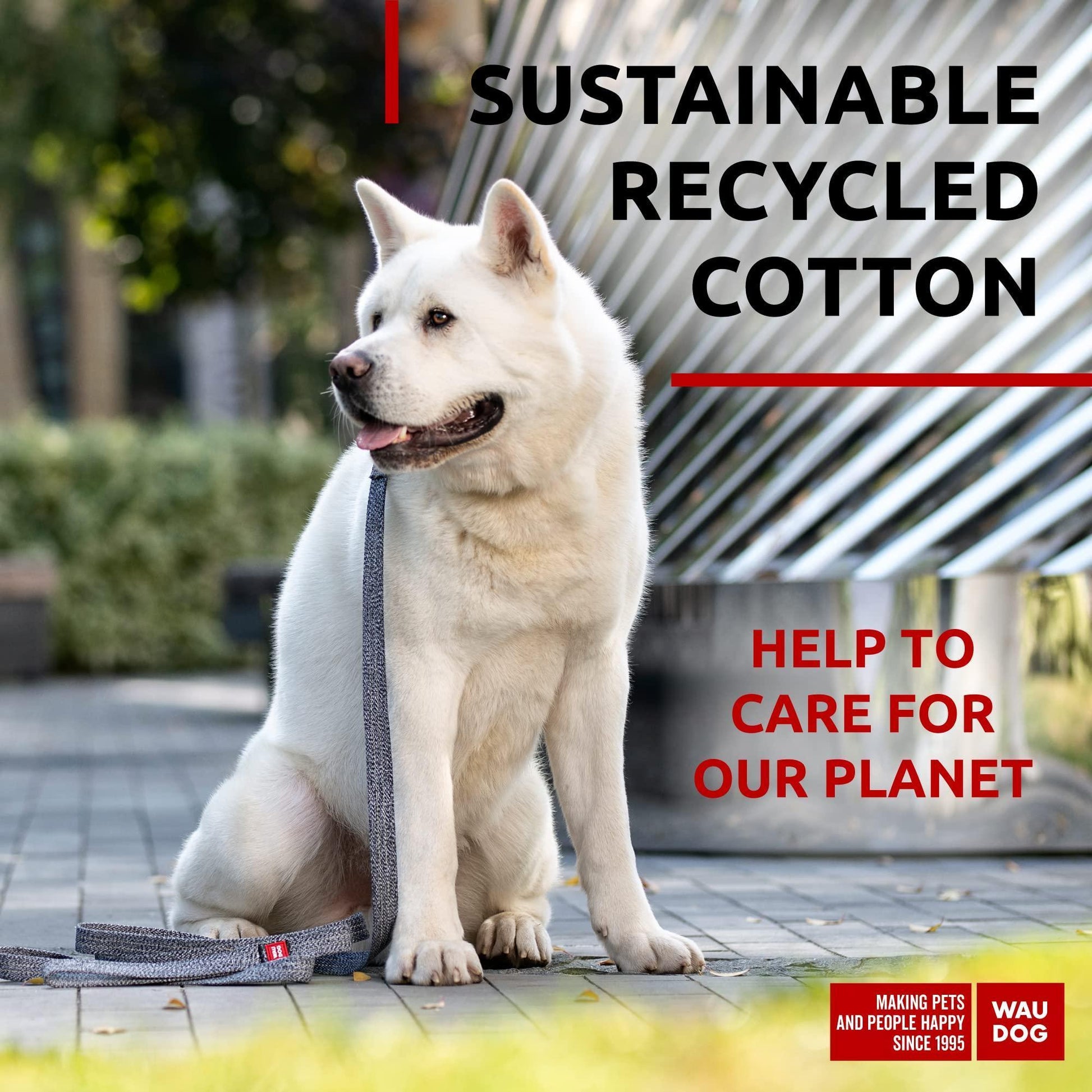 Recycled Cotton Dog Leash 6 Ft   10 Ft Eco Friendly Collar for Small Medium & For Pet With Love