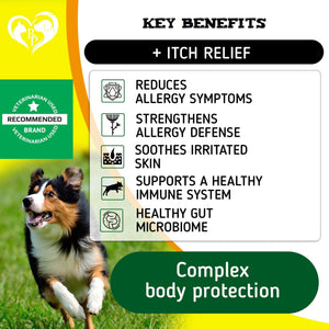 Beloved Pets Dog Immune Supplement Anti Itch & Allergy Relief with Probiotic 140 Ct