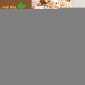 Oatmeal Shampoo for Dogs with Aloe Vera. Hypoallergenic Dog Shampoo