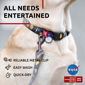 Nylon Dog Leash for Small Dogs and Medium Dogs 4 Ft   Strong Dog Leash for