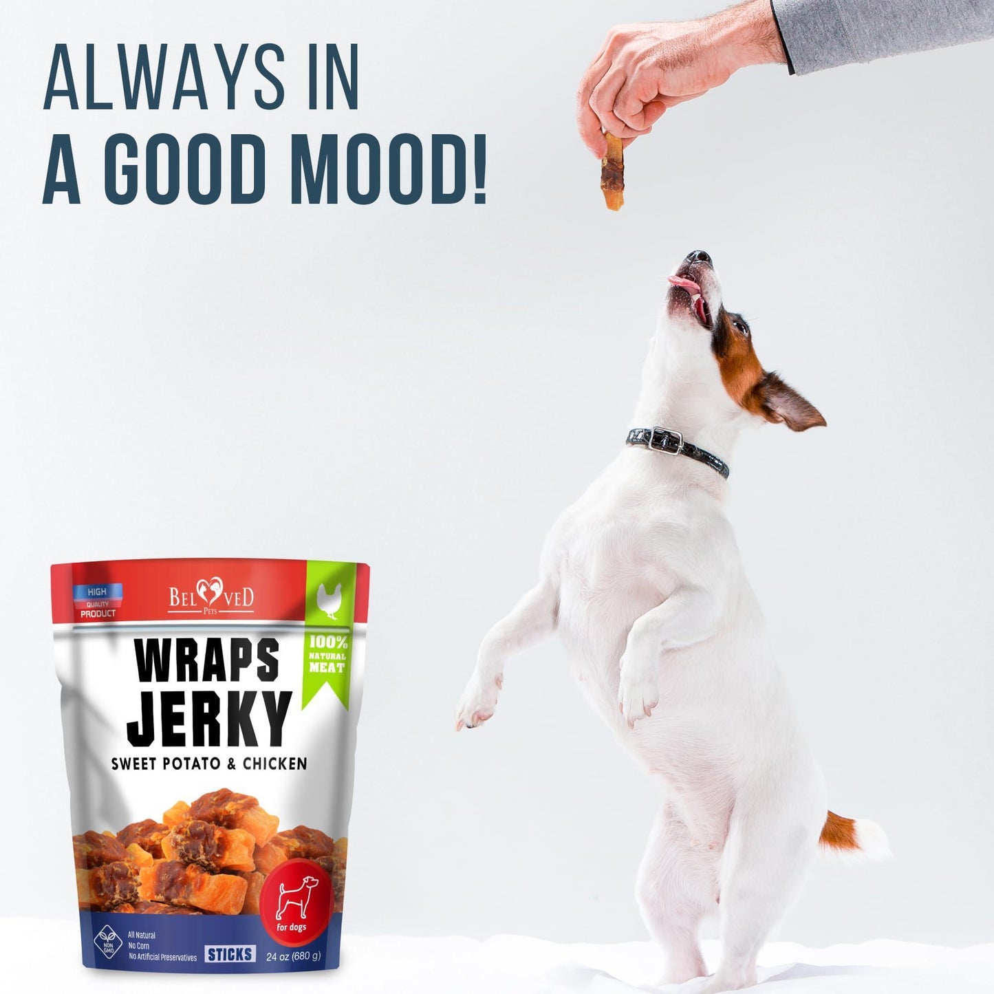 Beloved Pets All Natural Sweet Potato & Chicken Jerky Wraps Dog Treats 24 Oz For Pet With Love