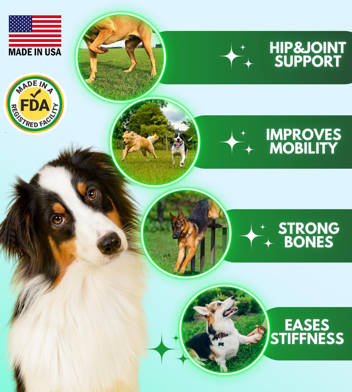 Pawious Hip and Joint Supplement for Dogs with Glucosamine For Pet With Love