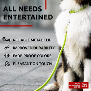 WAUDOG Rolled Leather GLAMOUR Dog Leash 4Ft * 0.5in for Small Medium and Large Dogs (Green)