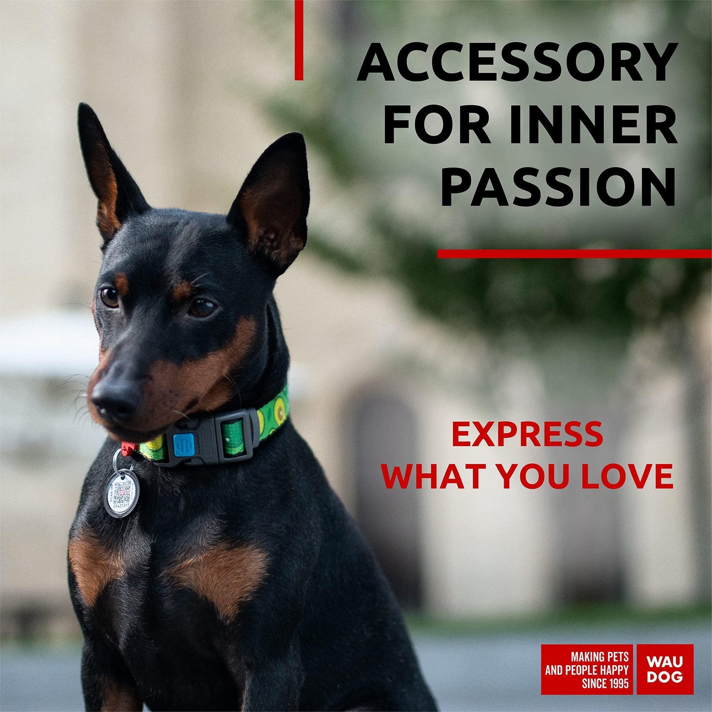 WAUDOG Adjustable Nylon Dog Collar with Durable Plastic Buckle and QR Dog Tag. SMALL (Avocado Print) For Pet With Love