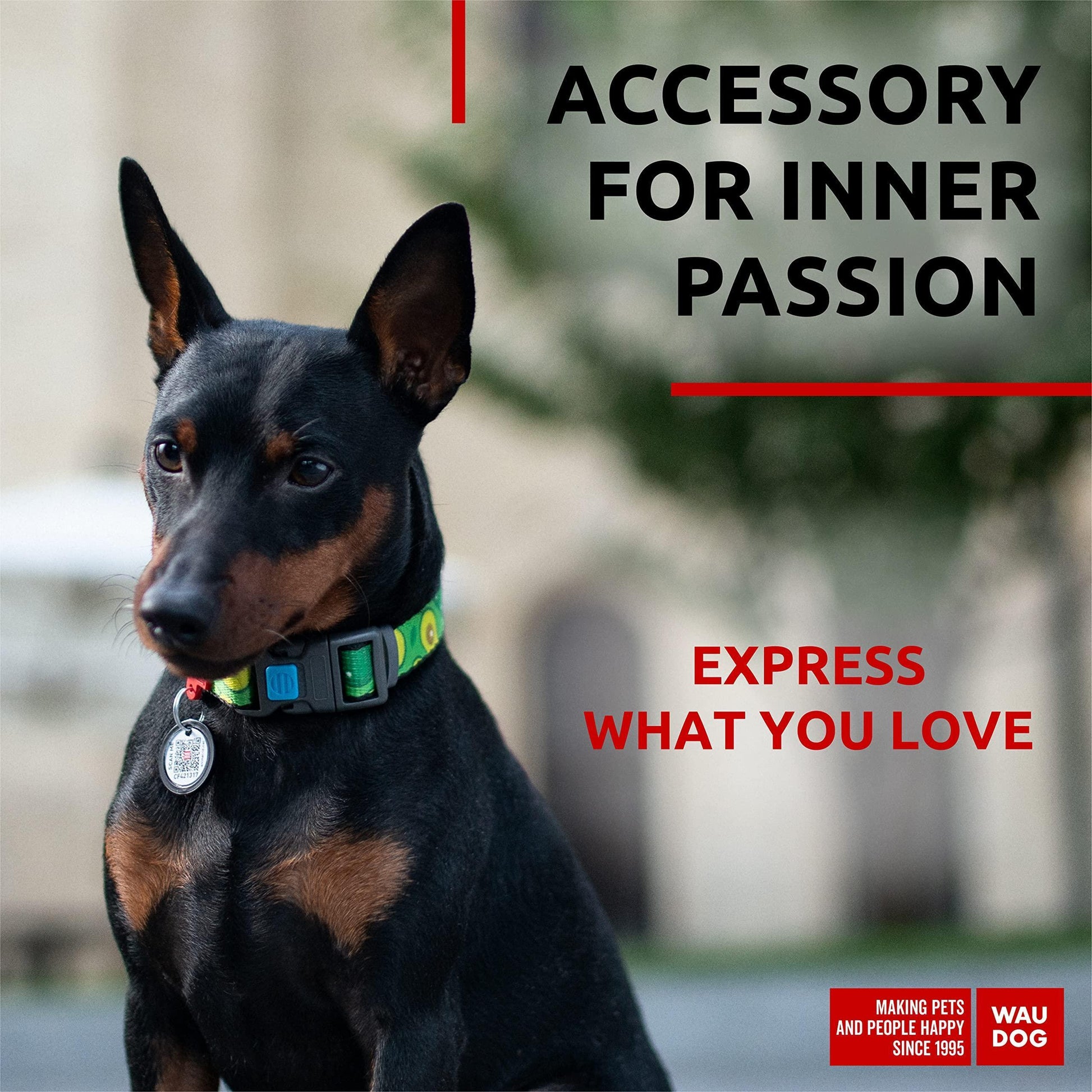 WAUDOG Adjustable Nylon Dog Collar with Durable Plastic Buckle and QR Dog Tag. SMALL (Avocado Print) For Pet With Love