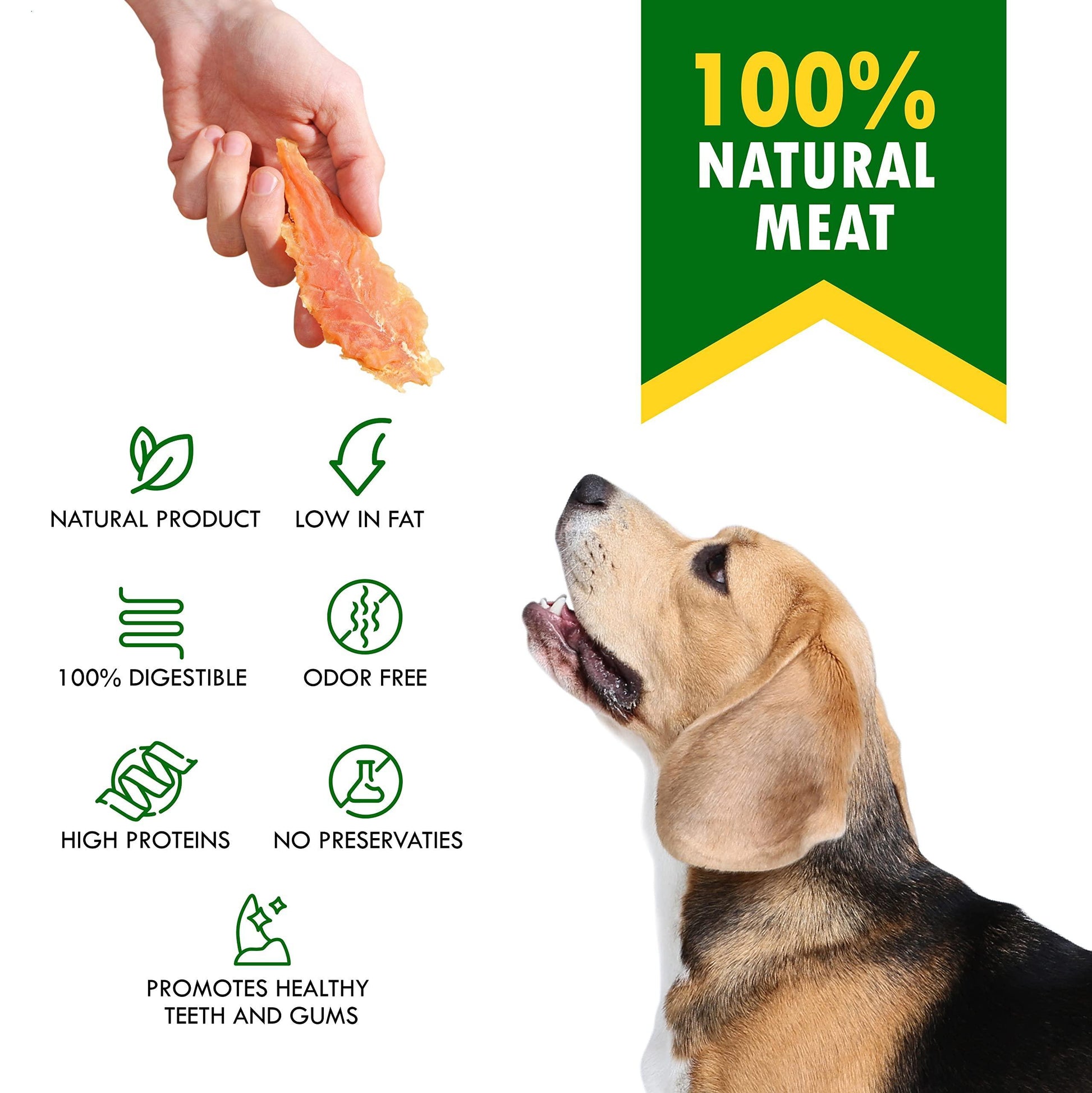 Beloved Pets All Natural and Organic Healthy Snacks Chicken Breast Jerky Dog Treats. Grain Free and High Protein. Human Grade Pet Chews (300 Gram) For Pet With Love