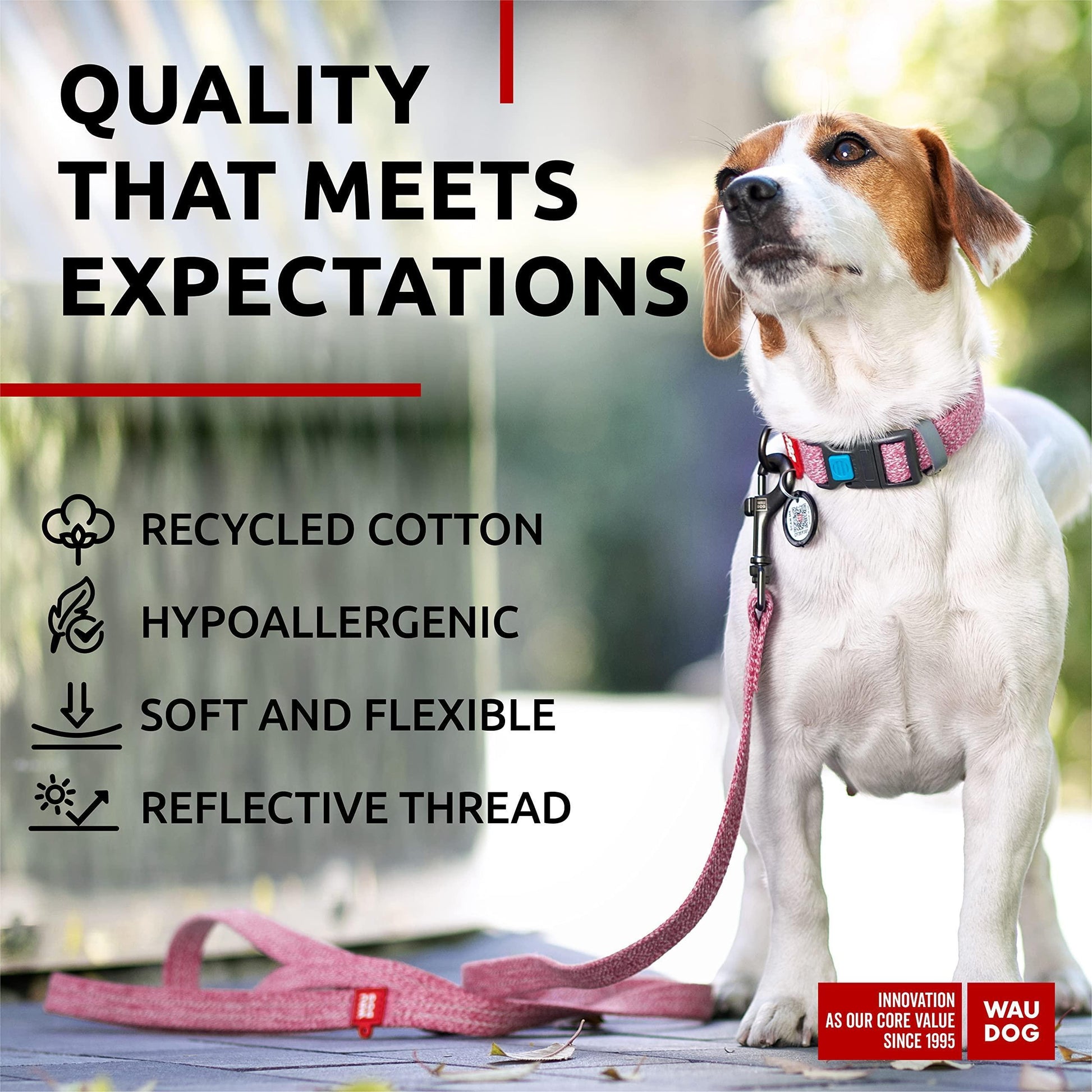 Recycled Cotton Dog Leash 6 Ft   10 Ft Eco Friendly Collar for Small Medium & For Pet With Love