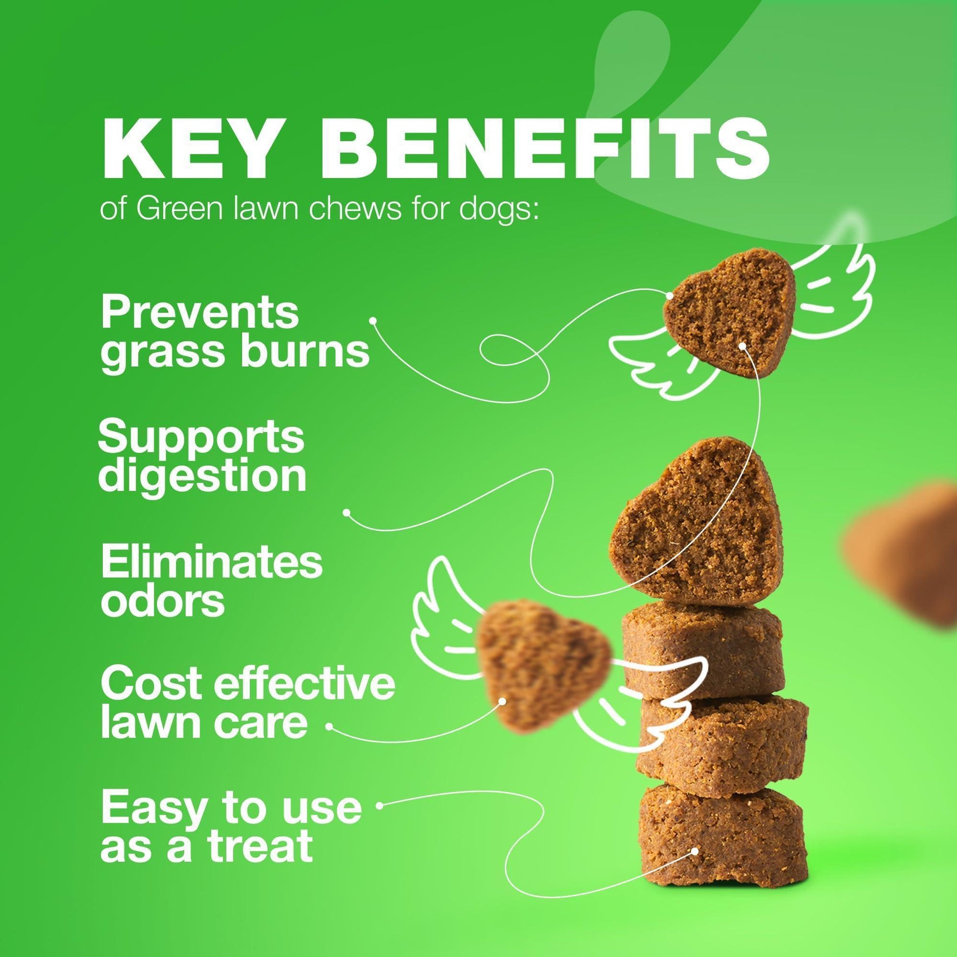 CHEWIA Grass Spot Probiotic Multivitamins Enzymes for Dogs. Vitality & UTI & Digective Support, Urine Neutralizer. 180 Chews. Duck Flavor. For Pet With Love