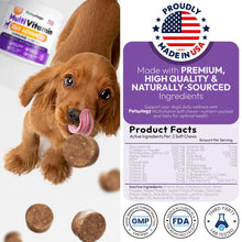 Load image into Gallery viewer, Dog Multivitamin Chewable   Dog Vitamins and Supplements with Glucosamine   170

